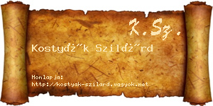 Kostyák Szilárd névjegykártya